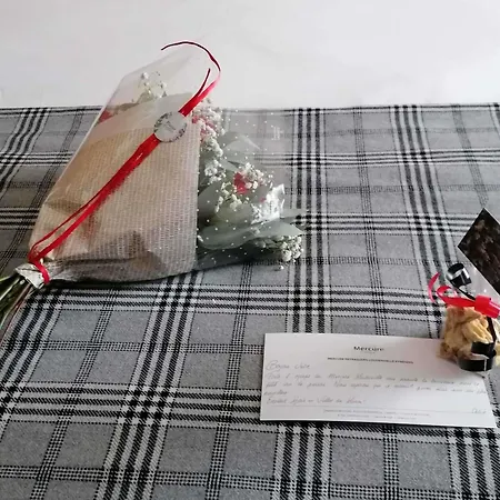 卢当维耶尔庇里牛斯佩拉古德美居酒店 酒店